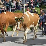 Comfortable 2 Bedroom In Apartment