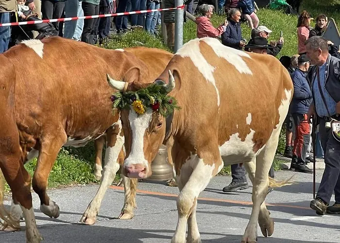 Comfortable 2 Bedroom In Lägenhet