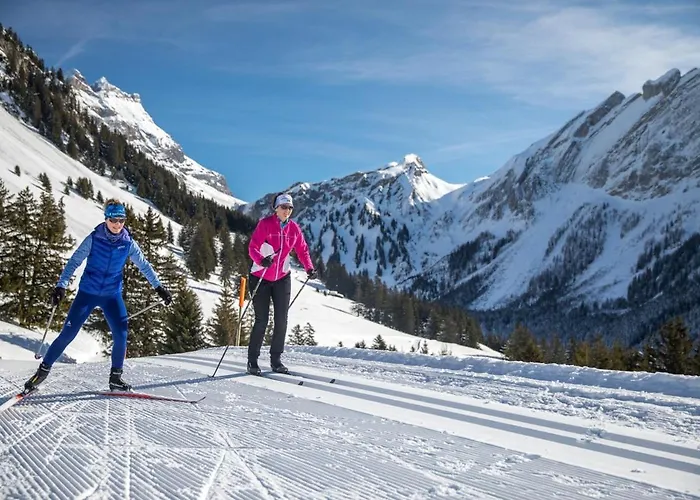 Comfortable 2 Bedroom In *